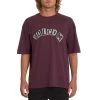 Volcom Hi School Short Sleeve T-Shirt In Mulberry