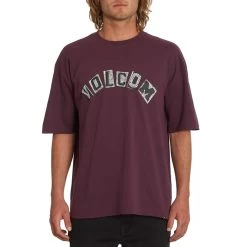 Volcom Hi School Short Sleeve T-Shirt In Mulberry